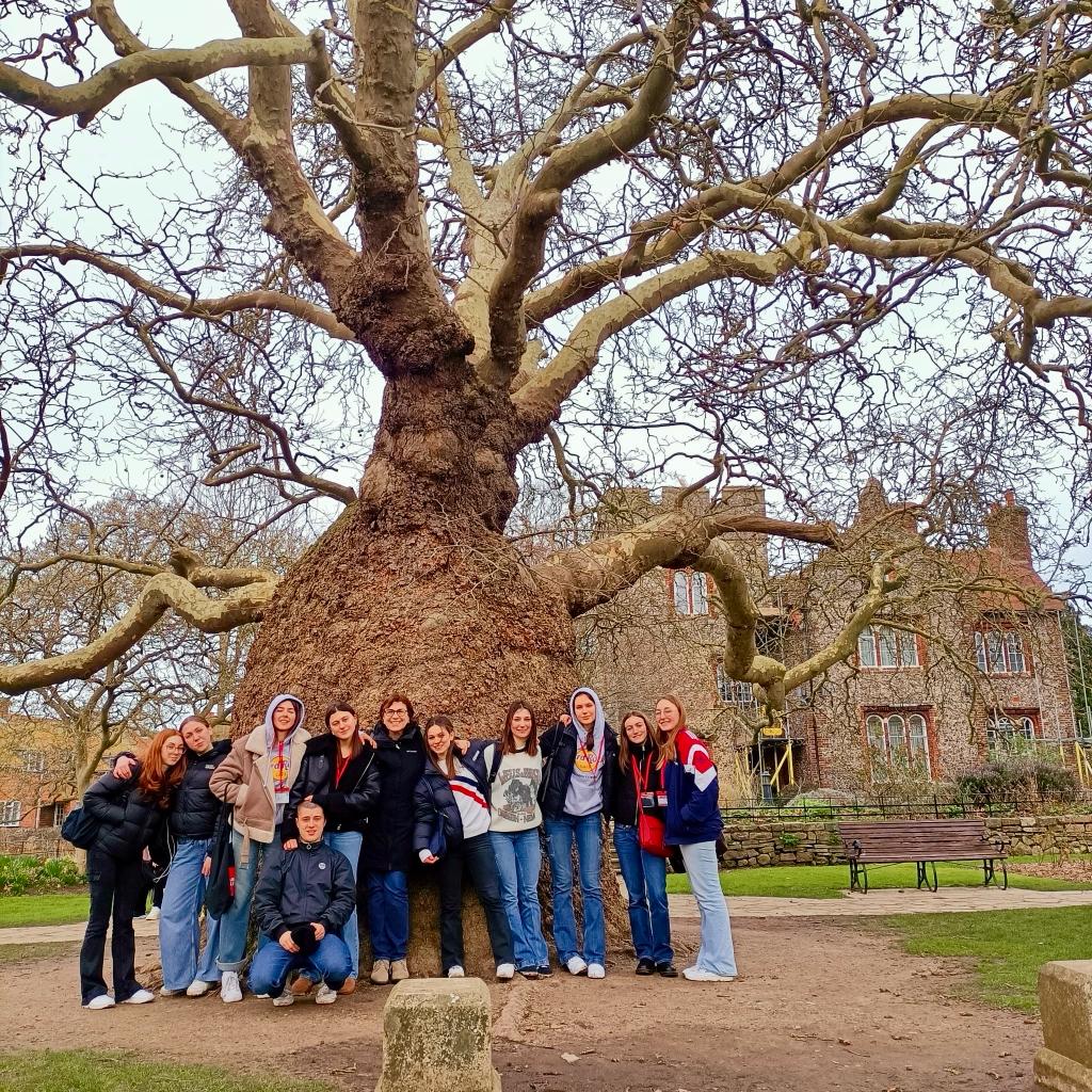 3BL_love_tree_Canterbury.jpg