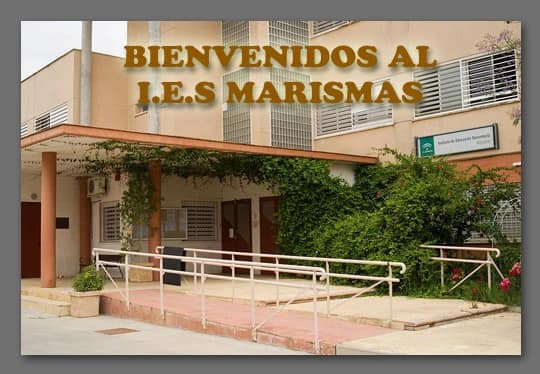 449291975_987207533410165_26545986628931