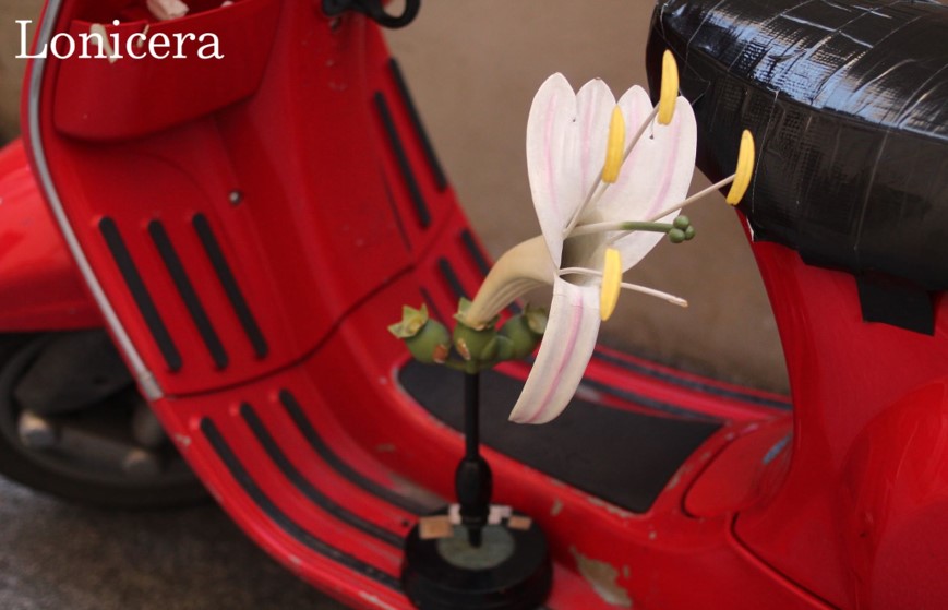 Immagine-Fiore-su-Vespa.jpg