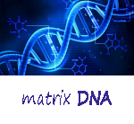 DNA.png